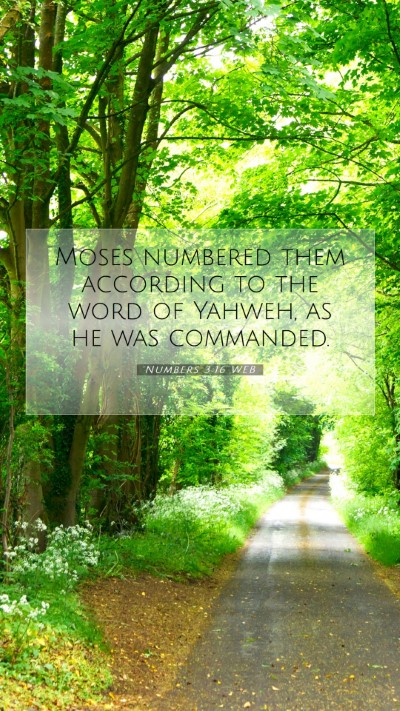 Picture 07 - Numbers 3:16 WEB Mobile Phone Wallpaper - Moses numbered them according to the word of - Mobile Bible Verse Wallpaper