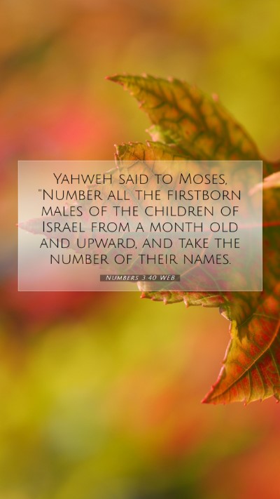 Picture 07 - Numbers 3:40 WEB Mobile Phone Wallpaper - Yahweh said to Moses, 