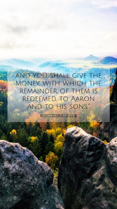 Picture 07 - Numbers 3:48 WEB Mobile Phone Wallpaper - and you shall give the money, with which the - Mobile Bible Verse Wallpaper