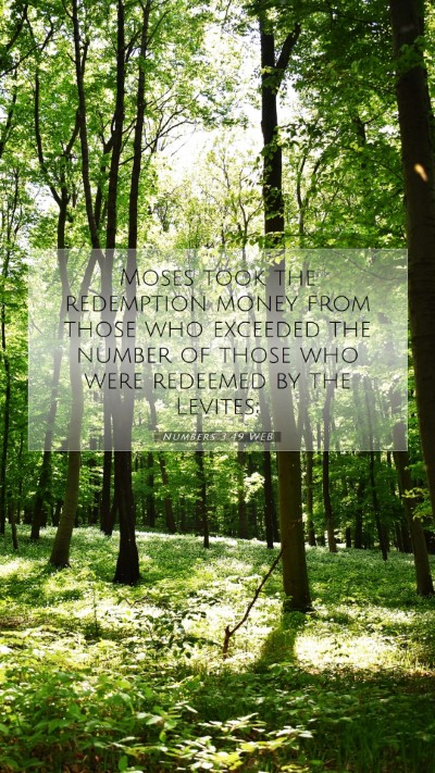 Picture 07 - Numbers 3:49 WEB Mobile Phone Wallpaper - Moses took the redemption money from those who - Mobile Bible Verse Wallpaper