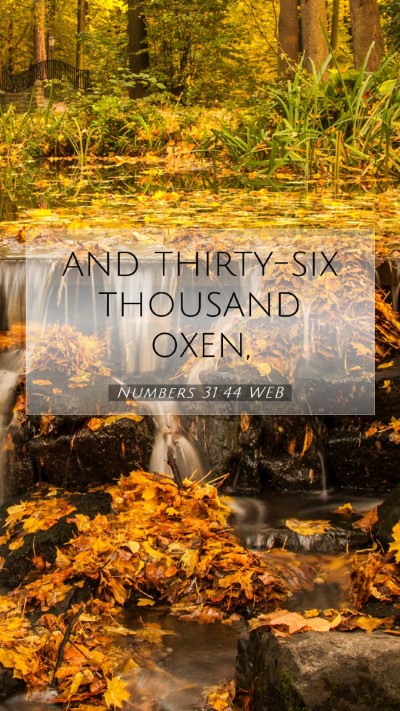 Picture 07 - Numbers 31:44 WEB Mobile Phone Wallpaper - and thirty-six thousand - Mobile Bible Verse Wallpaper