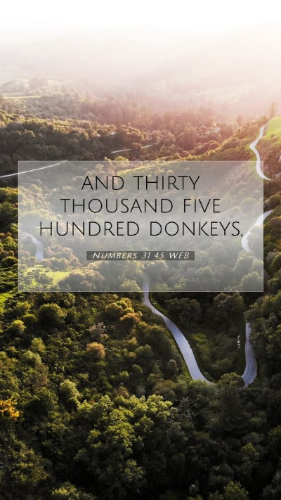 Picture 07 - Numbers 31:45 WEB Mobile Phone Wallpaper - and thirty thousand five hundred - Mobile Bible Verse Wallpaper