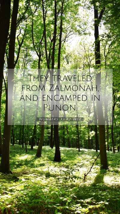 Picture 07 - Numbers 33:42 WEB Mobile Phone Wallpaper - They traveled from Zalmonah, and encamped in - Mobile Bible Verse Wallpaper