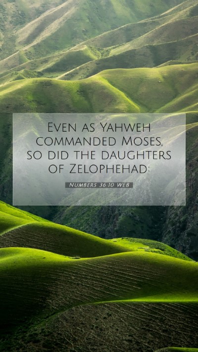 Picture 07 - Numbers 36:10 WEB Mobile Phone Wallpaper - Even as Yahweh commanded Moses, so did the - Mobile Bible Verse Wallpaper