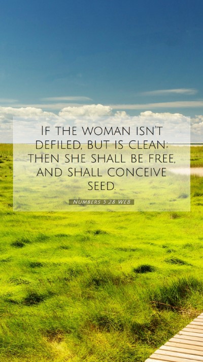Picture 07 - Numbers 5:28 WEB Mobile Phone Wallpaper - If the woman isn't defiled, but is clean; then - Mobile Bible Verse Wallpaper