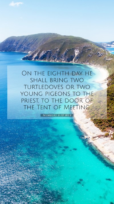 Picture 07 - Numbers 6:10 WEB Mobile Phone Wallpaper - On the eighth day he shall bring two turtledoves - Mobile Bible Verse Wallpaper