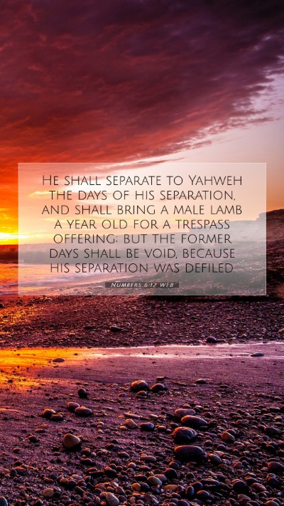 Picture 07 - Numbers 6:12 WEB Mobile Phone Wallpaper - He shall separate to Yahweh the days of his - Mobile Bible Verse Wallpaper