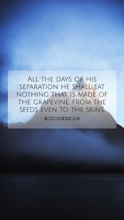 Picture 07 - Numbers 6:4 WEB Mobile Phone Wallpaper - All the days of his separation he shall eat - Mobile Bible Verse Wallpaper