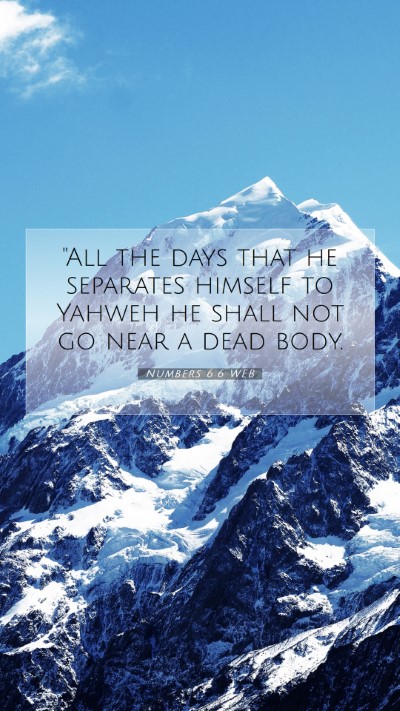 Picture 07 - Numbers 6:6 WEB Mobile Phone Wallpaper - 