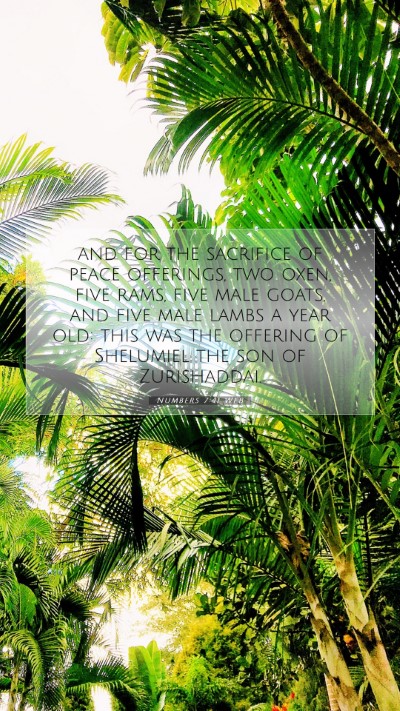 Picture 07 - Numbers 7:41 WEB Mobile Phone Wallpaper - and for the sacrifice of peace offerings, two - Mobile Bible Verse Wallpaper