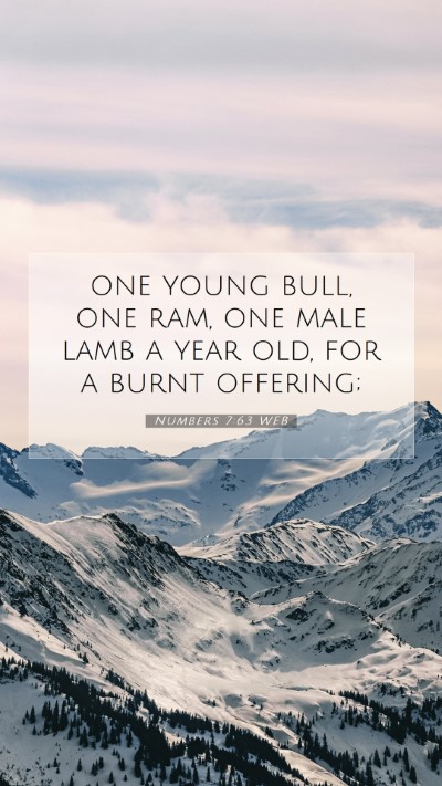 Picture 07 - Numbers 7:63 WEB Mobile Phone Wallpaper - one young bull, one ram, one male lamb a year - Mobile Bible Verse Wallpaper