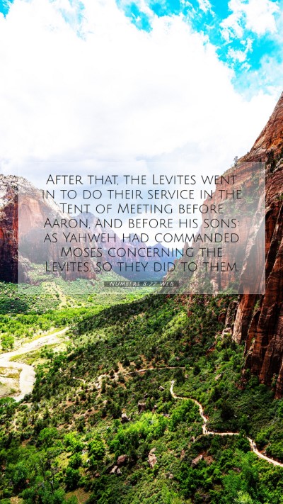 Picture 07 - Numbers 8:22 WEB Mobile Phone Wallpaper - After that, the Levites went in to do their - Mobile Bible Verse Wallpaper