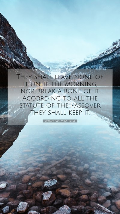 Picture 07 - Numbers 9:12 WEB Mobile Phone Wallpaper - They shall leave none of it until the morning, - Mobile Bible Verse Wallpaper