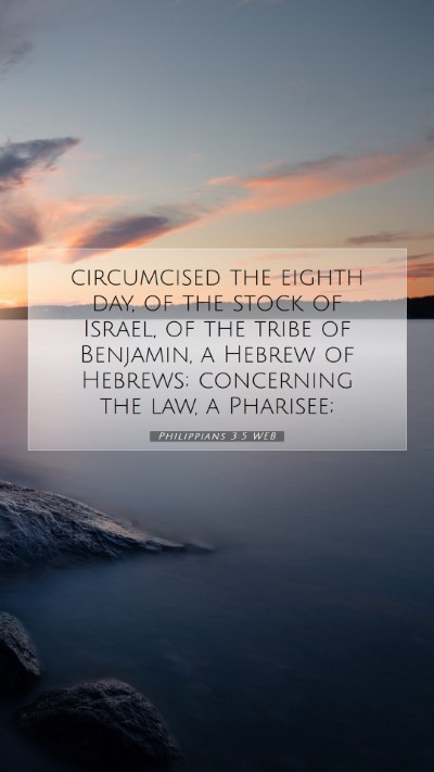 Picture 07 - Philippians 3:5 WEB Mobile Phone Wallpaper - circumcised the eighth day, of the stock of - Mobile Bible Verse Wallpaper