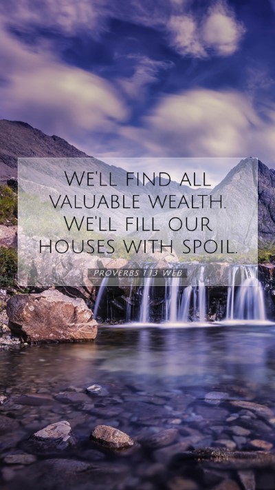 Picture 07 - Proverbs 1:13 WEB Mobile Phone Wallpaper - We'll find all valuable wealth. We'll fill our - Mobile Bible Verse Wallpaper