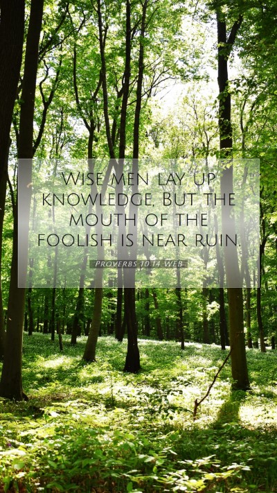 Picture 07 - Proverbs 10:14 WEB Mobile Phone Wallpaper - Wise men lay up knowledge, But the mouth of the - Mobile Bible Verse Wallpaper
