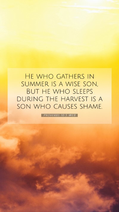 Picture 07 - Proverbs 10:5 WEB Mobile Phone Wallpaper - He who gathers in summer is a wise son, But he - Mobile Bible Verse Wallpaper