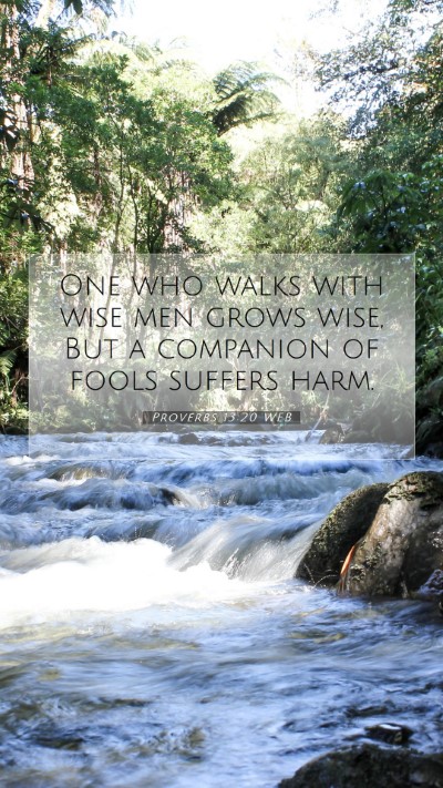 Picture 07 - Proverbs 13:20 WEB Mobile Phone Wallpaper - One who walks with wise men grows wise, But a - Mobile Bible Verse Wallpaper