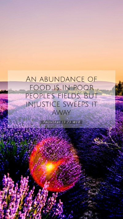 Picture 07 - Proverbs 13:23 WEB Mobile Phone Wallpaper - An abundance of food is in poor people's fields, - Mobile Bible Verse Wallpaper