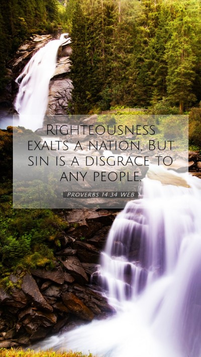 Picture 07 - Proverbs 14:34 WEB Mobile Phone Wallpaper - Righteousness exalts a nation, But sin is a - Mobile Bible Verse Wallpaper