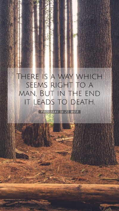 Picture 07 - Proverbs 16:25 WEB Mobile Phone Wallpaper - There is a way which seems right to a man, But in - Mobile Bible Verse Wallpaper