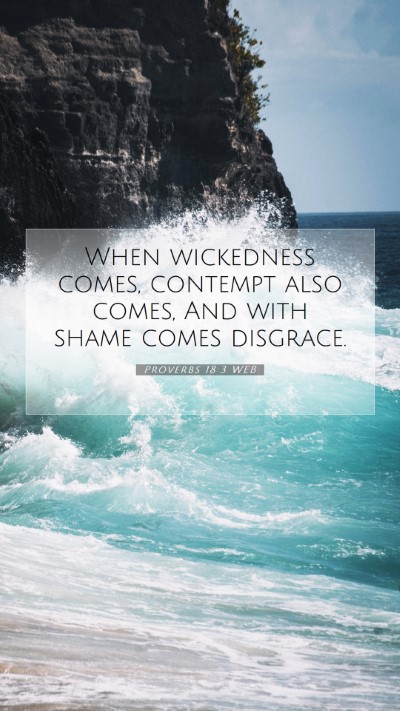 Picture 07 - Proverbs 18:3 WEB Mobile Phone Wallpaper - When wickedness comes, contempt also comes, And - Mobile Bible Verse Wallpaper