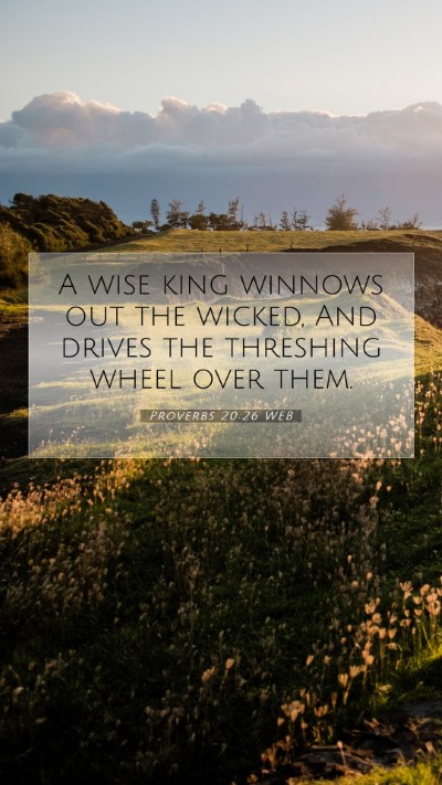 Picture 07 - Proverbs 20:26 WEB Mobile Phone Wallpaper - A wise king winnows out the wicked, And drives - Mobile Bible Verse Wallpaper