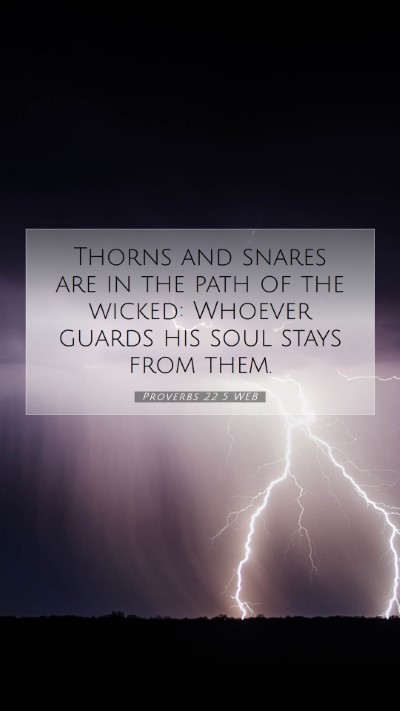 Picture 07 - Proverbs 22:5 WEB Mobile Phone Wallpaper - Thorns and snares are in the path of the wicked: - Mobile Bible Verse Wallpaper