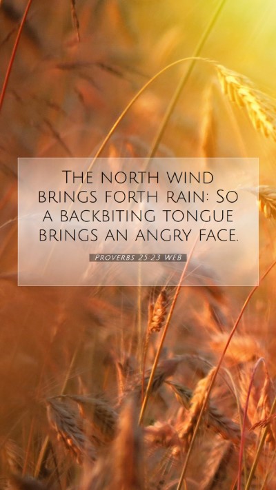 Picture 07 - Proverbs 25:23 WEB Mobile Phone Wallpaper - The north wind brings forth rain: So a backbiting - Mobile Bible Verse Wallpaper