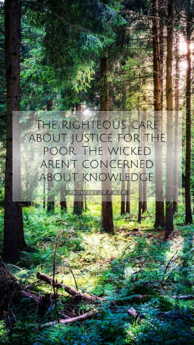Picture 07 - Proverbs 29:7 WEB Mobile Phone Wallpaper - The righteous care about justice for the poor. - Mobile Bible Verse Wallpaper