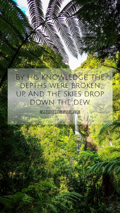 Picture 07 - Proverbs 3:20 WEB Mobile Phone Wallpaper - By his knowledge, the depths were broken up, And - Mobile Bible Verse Wallpaper