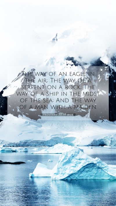 Picture 07 - Proverbs 30:19 WEB Mobile Phone Wallpaper - The way of an eagle in the air; The way of a - Mobile Bible Verse Wallpaper