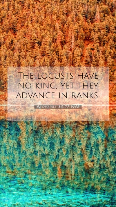 Picture 07 - Proverbs 30:27 WEB Mobile Phone Wallpaper - The locusts have no king, Yet they advance in - Mobile Bible Verse Wallpaper
