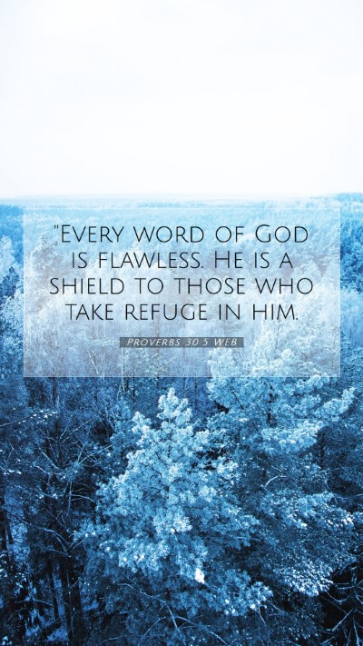 Picture 07 - Proverbs 30:5 WEB Mobile Phone Wallpaper - 