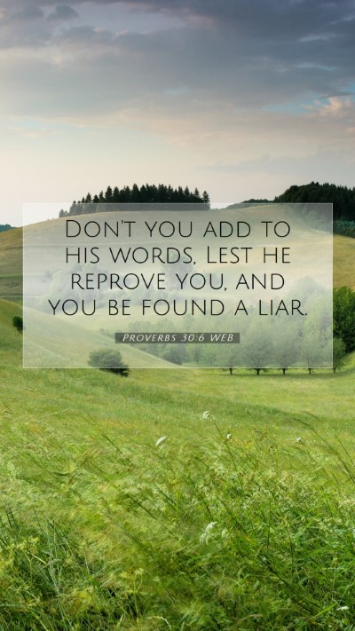 Picture 07 - Proverbs 30:6 WEB Mobile Phone Wallpaper - Don't you add to his words, Lest he reprove you, - Mobile Bible Verse Wallpaper
