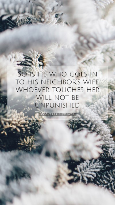 Picture 07 - Proverbs 6:29 WEB Mobile Phone Wallpaper - So is he who goes in to his neighbor's wife. - Mobile Bible Verse Wallpaper