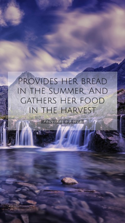 Picture 07 - Proverbs 6:8 WEB Mobile Phone Wallpaper - Provides her bread in the summer, And gathers her - Mobile Bible Verse Wallpaper
