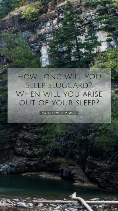 Picture 07 - Proverbs 6:9 WEB Mobile Phone Wallpaper - How long will you sleep, sluggard? When will you - Mobile Bible Verse Wallpaper