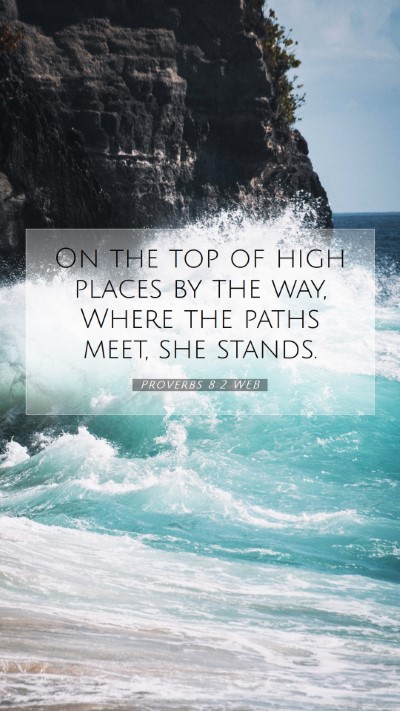 Picture 07 - Proverbs 8:2 WEB Mobile Phone Wallpaper - On the top of high places by the way, Where the - Mobile Bible Verse Wallpaper