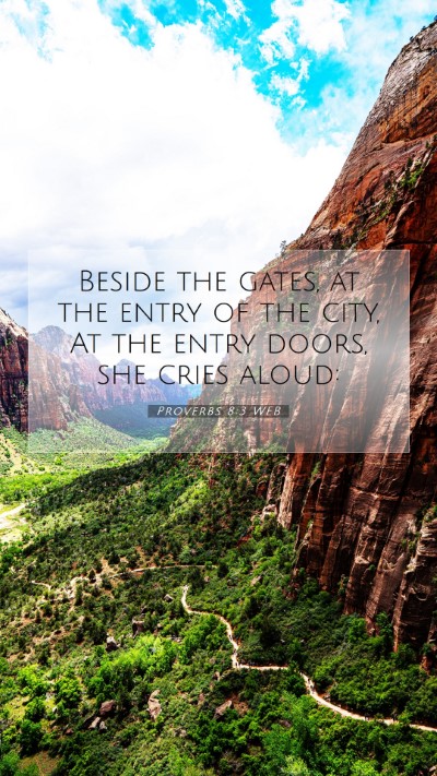 Picture 07 - Proverbs 8:3 WEB Mobile Phone Wallpaper - Beside the gates, at the entry of the city, At - Mobile Bible Verse Wallpaper