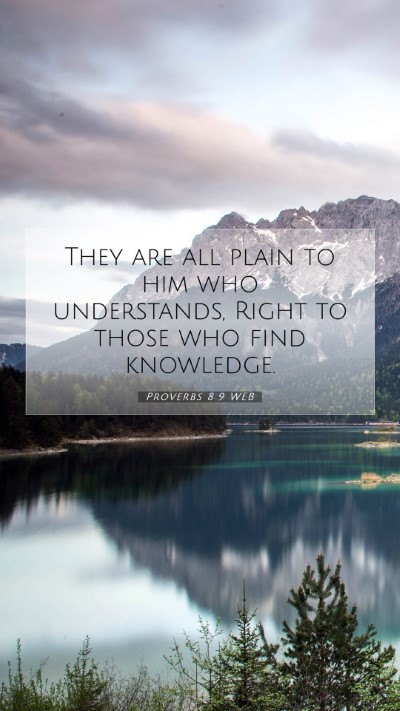 Picture 07 - Proverbs 8:9 WEB Mobile Phone Wallpaper - They are all plain to him who understands, Right - Mobile Bible Verse Wallpaper