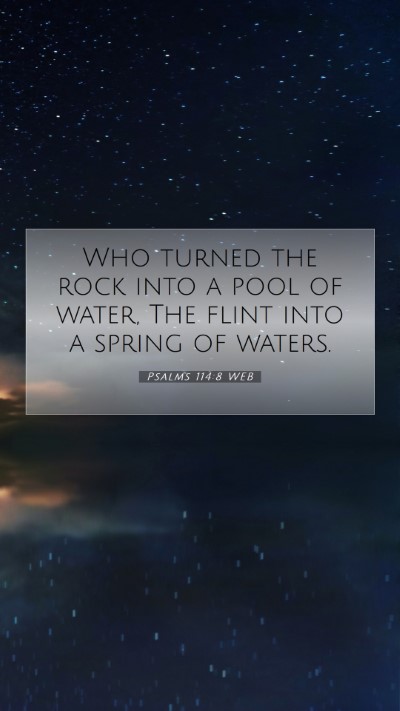 Picture 07 - Psalms 114:8 WEB Mobile Phone Wallpaper - Who turned the rock into a pool of water, The - Mobile Bible Verse Wallpaper