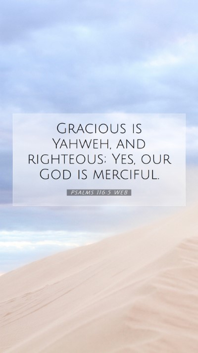 Picture 07 - Psalms 116:5 WEB Mobile Phone Wallpaper - Gracious is Yahweh, and righteous; Yes, our God - Mobile Bible Verse Wallpaper