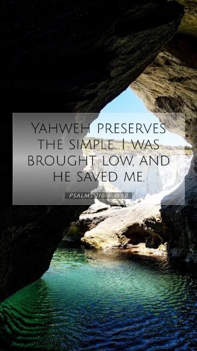 Picture 07 - Psalms 116:6 WEB Mobile Phone Wallpaper - Yahweh preserves the simple. I was brought low, - Mobile Bible Verse Wallpaper