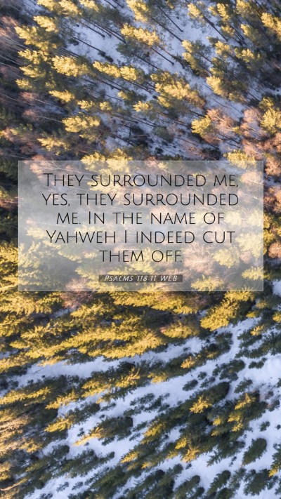 Picture 07 - Psalms 118:11 WEB Mobile Phone Wallpaper - They surrounded me, yes, they surrounded me. In - Mobile Bible Verse Wallpaper