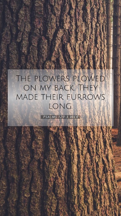 Picture 07 - Psalms 129:3 WEB Mobile Phone Wallpaper - The plowers plowed on my back. They made their - Mobile Bible Verse Wallpaper