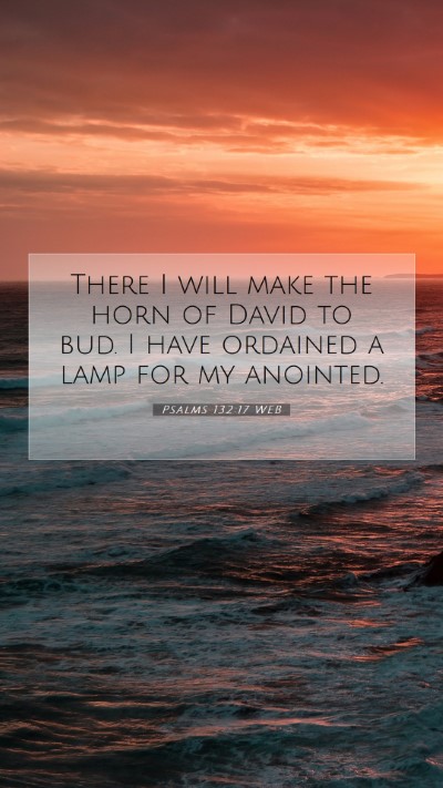 Picture 07 - Psalms 132:17 WEB Mobile Phone Wallpaper - There I will make the horn of David to bud. I - Mobile Bible Verse Wallpaper