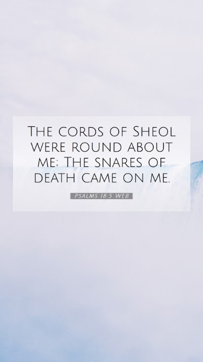 Picture 07 - Psalms 18:5 WEB Mobile Phone Wallpaper - The cords of Sheol were round about me; The - Mobile Bible Verse Wallpaper