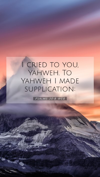 Picture 07 - Psalms 30:8 WEB Mobile Phone Wallpaper - I cried to you, Yahweh. To Yahweh I made - Mobile Bible Verse Wallpaper
