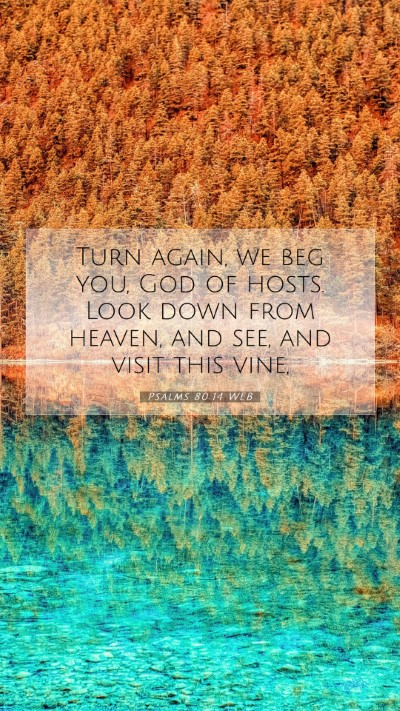Picture 07 - Psalms 80:14 WEB Mobile Phone Wallpaper - Turn again, we beg you, God of hosts. Look down - Mobile Bible Verse Wallpaper